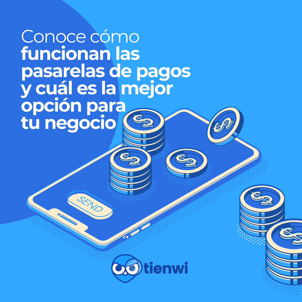 53080069 334986197137611 2377179040155959296 n